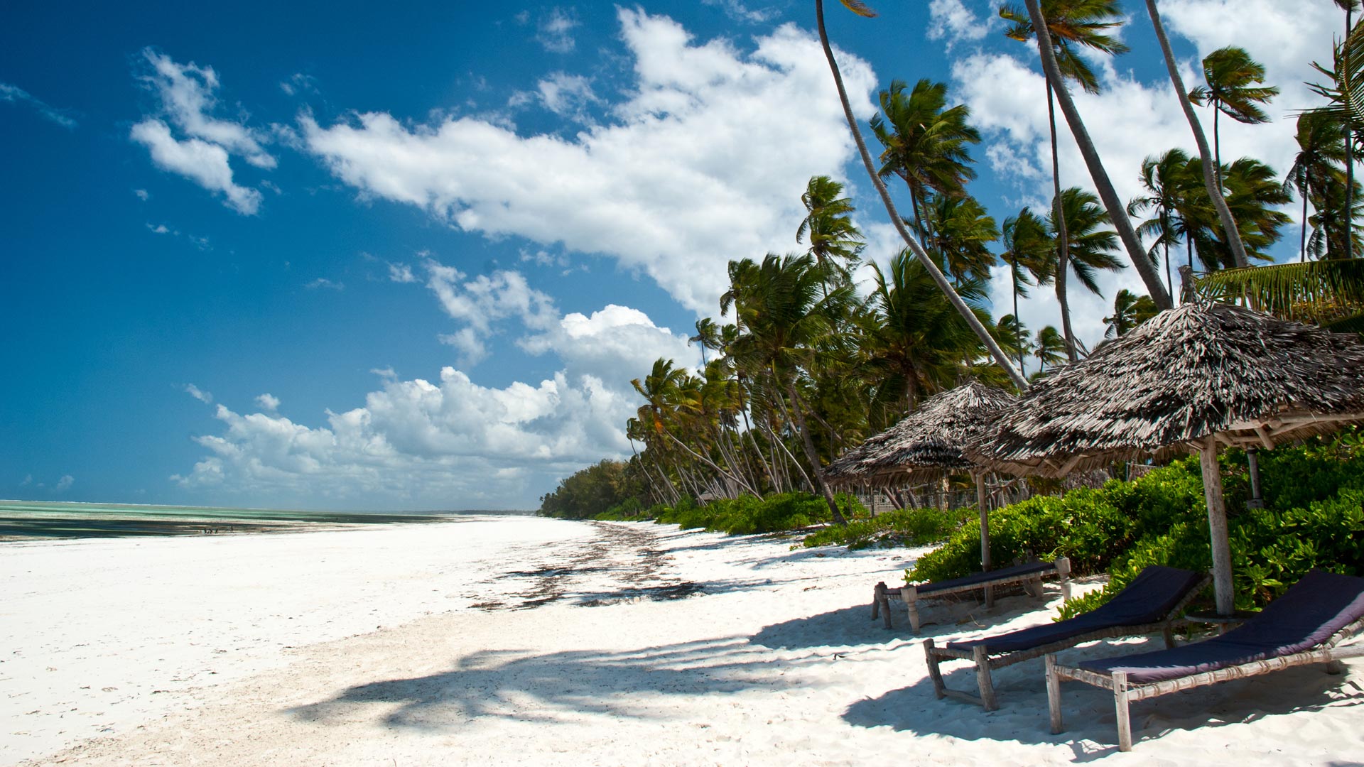 rare-extension-tanzania-zanzibar1