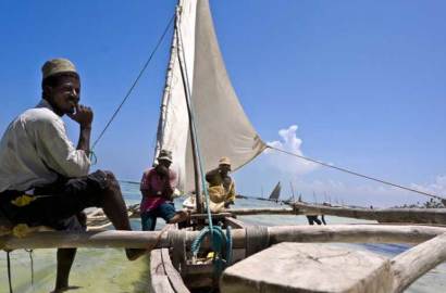 vie-locale-Zanzibar-côte-est