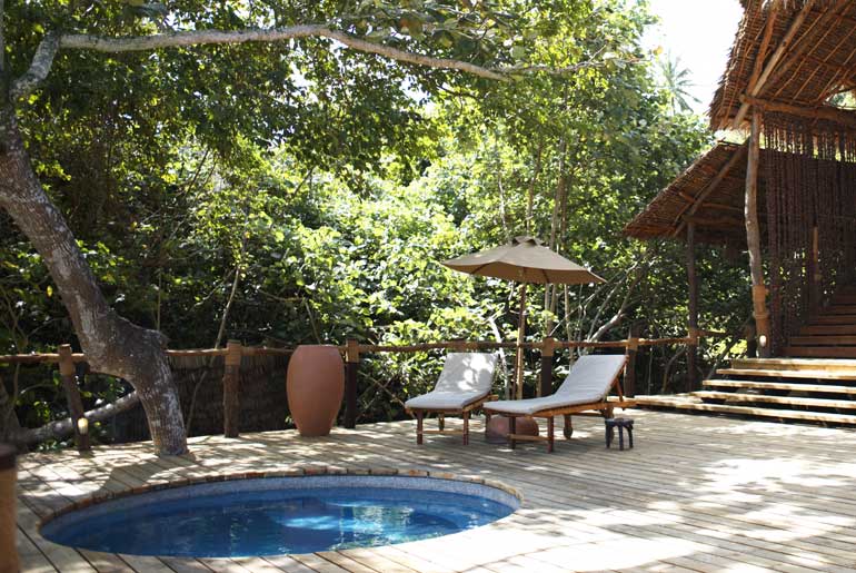 plunge-ppol-nature-tanzanie-pemba-zanzibar