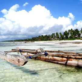 plongée sous-marine zanzibar