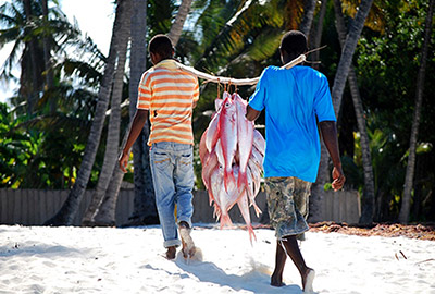 Retour de pêche à Jambiani